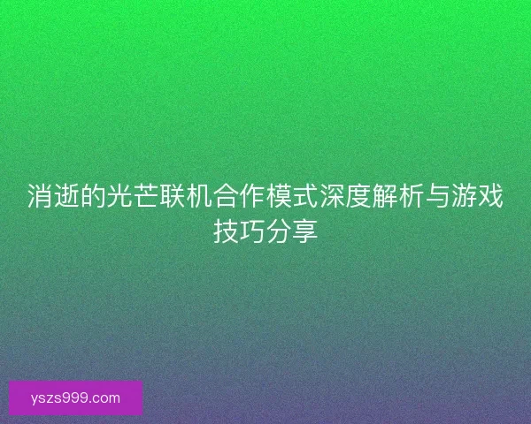 消逝的光芒联机合作模式深度解析与游戏技巧分享