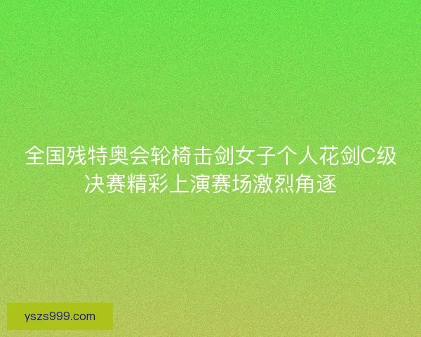 全国残特奥会轮椅击剑女子个人花剑C级决赛精彩上演赛场激烈角逐