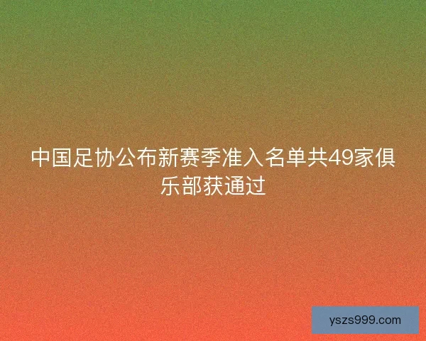 中国足协公布新赛季准入名单共49家俱乐部获通过
