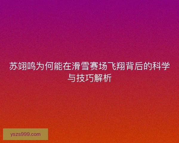 苏翊鸣为何能在滑雪赛场飞翔背后的科学与技巧解析