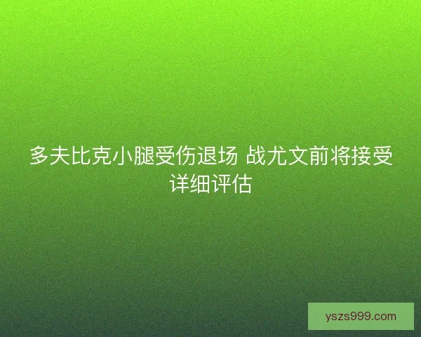多夫比克小腿受伤退场 战尤文前将接受详细评估